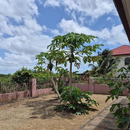 Chander'S Villa باراماريبو المظهر الخارجي الصورة