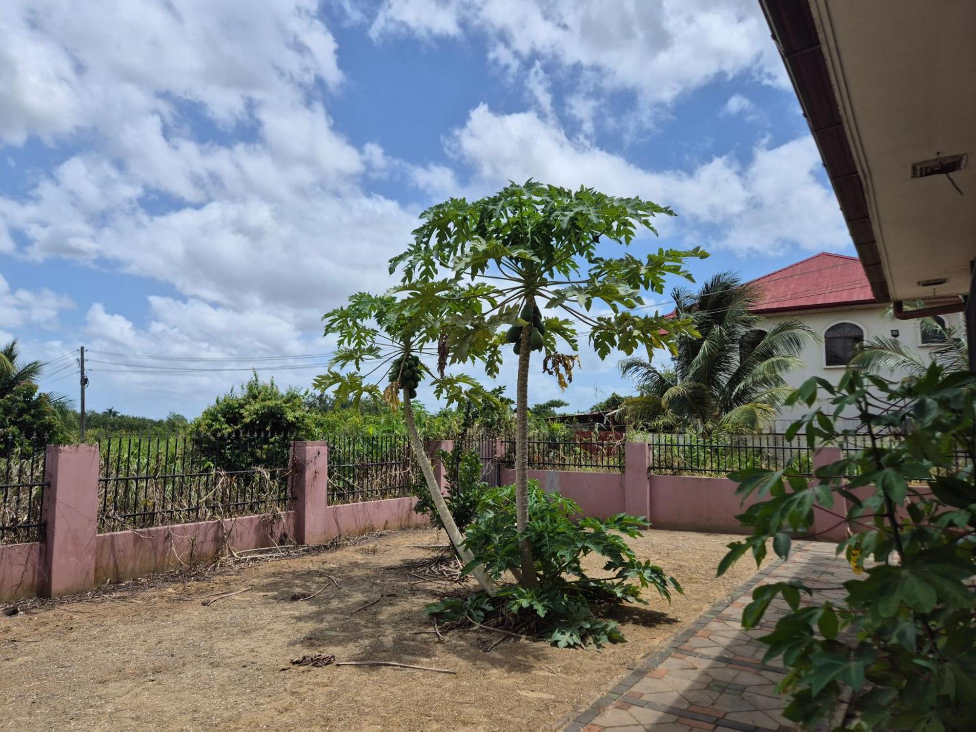 Chander'S Villa باراماريبو المظهر الخارجي الصورة