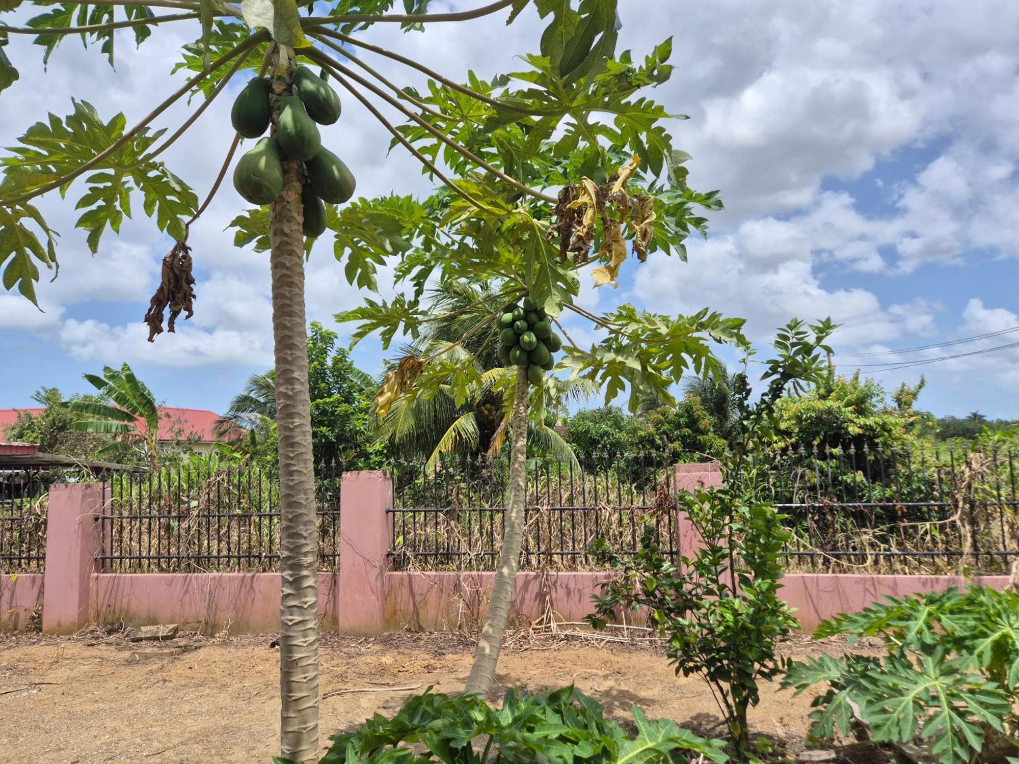 Chander'S Villa باراماريبو المظهر الخارجي الصورة