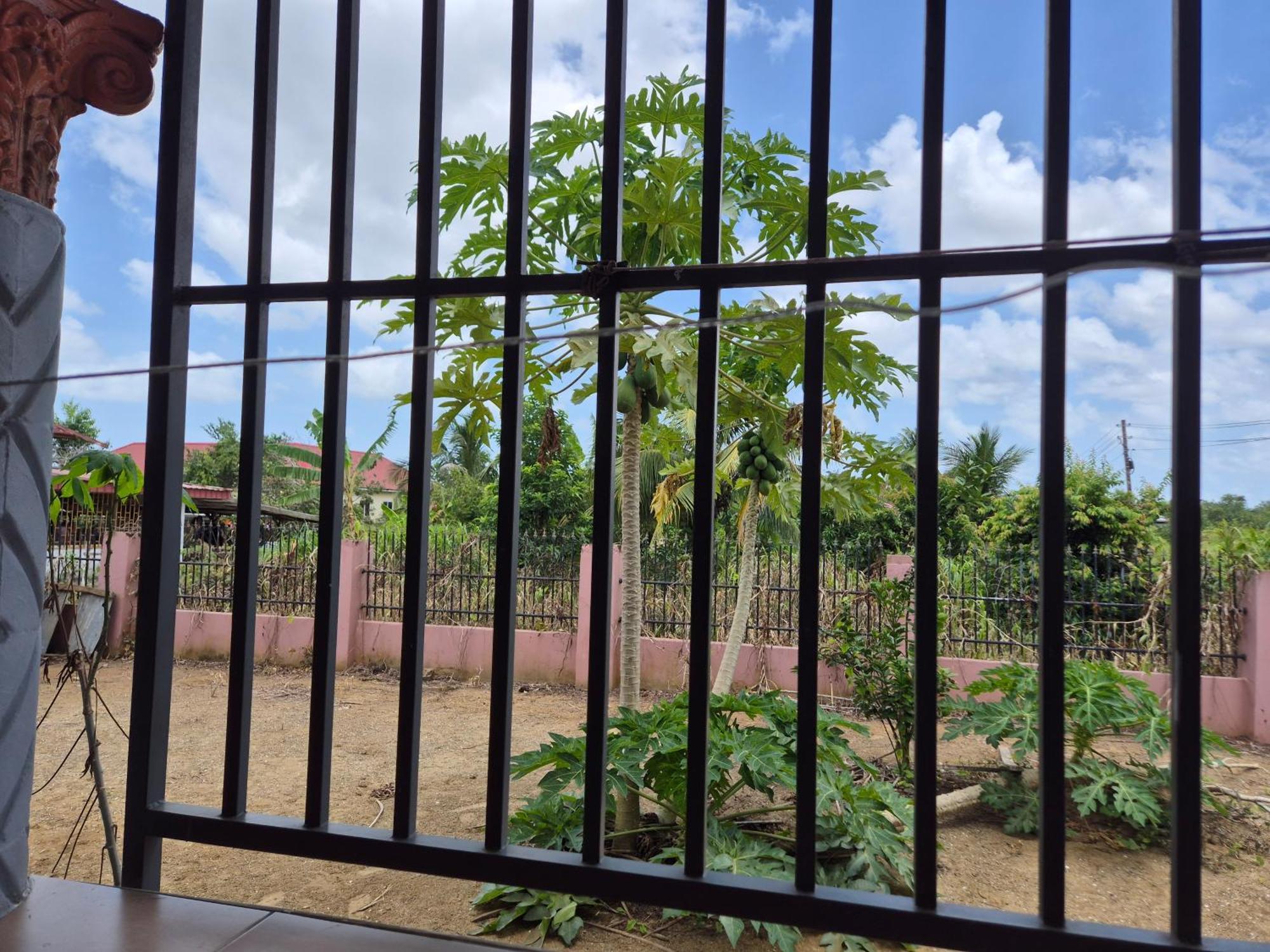 Chander'S Villa باراماريبو المظهر الخارجي الصورة